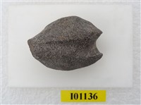 藏品(魚骨)的圖片